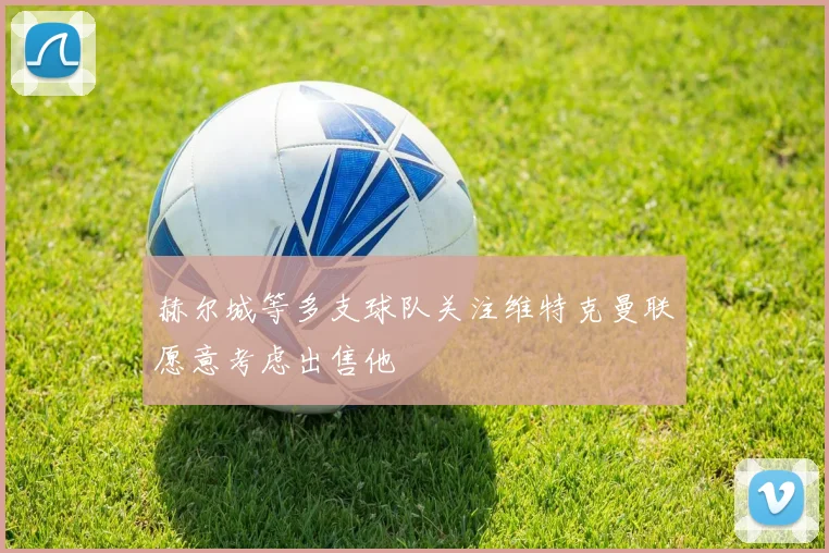 赫尔城等多支球队关注维特克曼联愿意考虑出售他