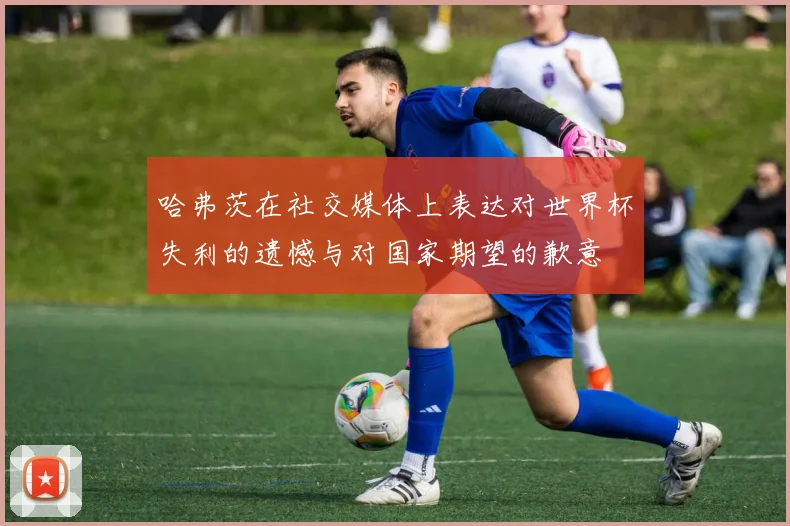 哈弗茨在社交媒体上表达对世界杯失利的遗憾与对国家期望的歉意
